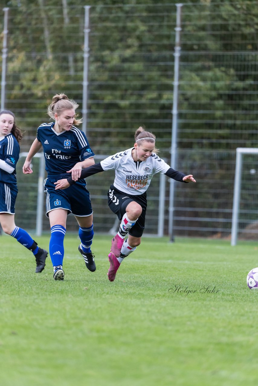 Bild 100 - B-Juniorinnen SV Henstedt Ulzburg - Hamburger SV : Ergebnis: 2:3